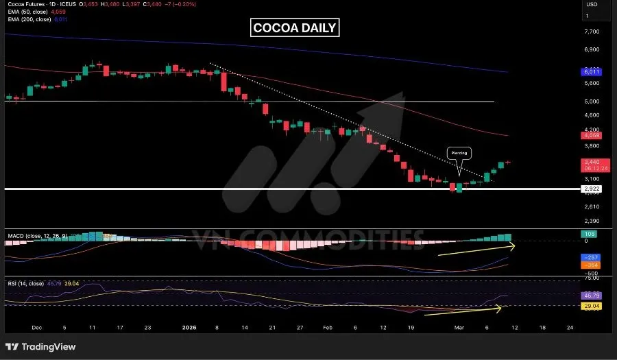 Gi&aacute; ca cao duy tr&igrave; đ&agrave; phục hồi 