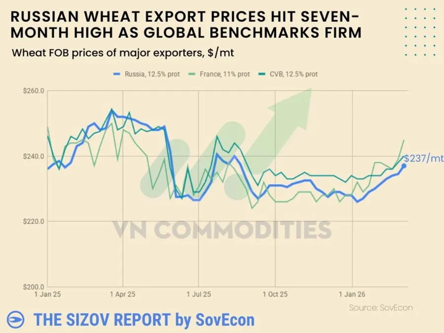 Thị trường l&uacute;a m&igrave; vật chất vẫn chưa suy yếu 