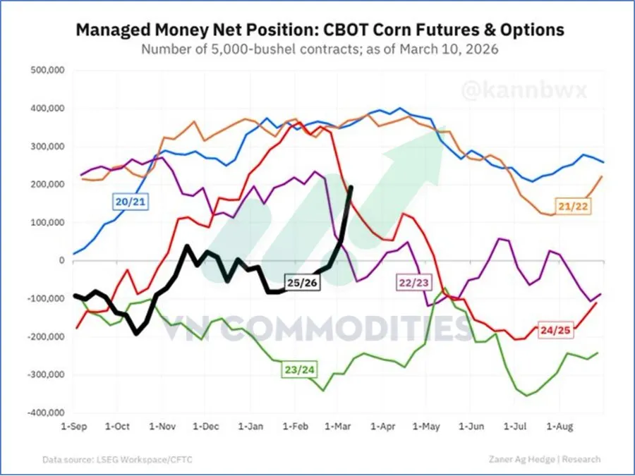 Vị thế giao dịch ng&ocirc; CBOT 