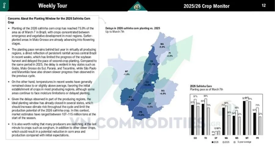 tiến độ gieo trồng ng&ocirc; tại Brazil 