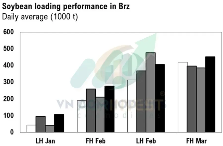 xuất khẩu đậu tương Brazil bị gi&aacute;n đoạn 