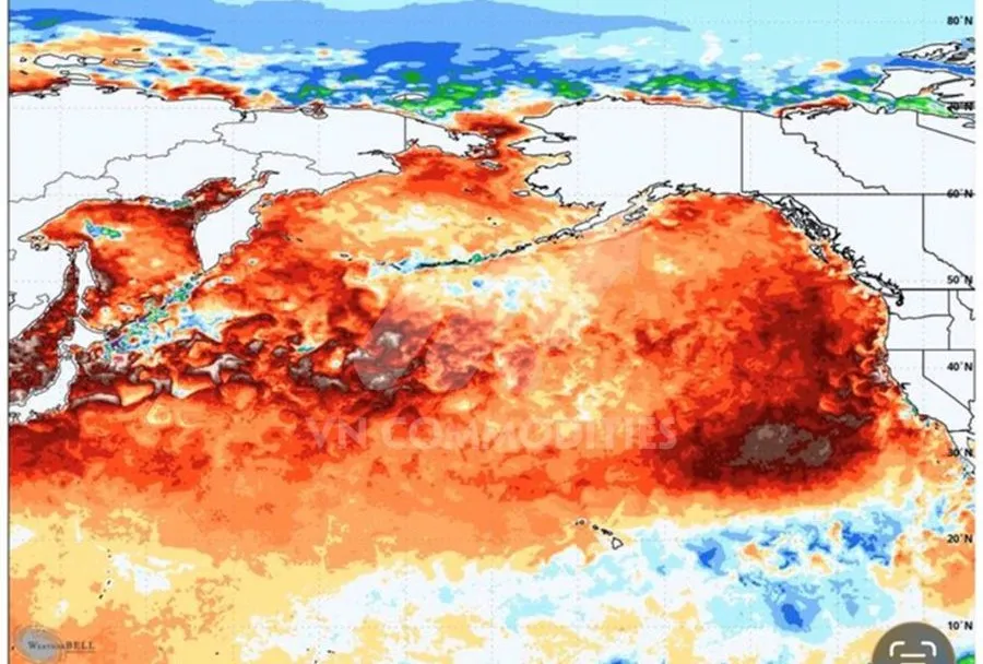 Khả năng cao h&igrave;nh th&agrave;nh El Nino trong năm 