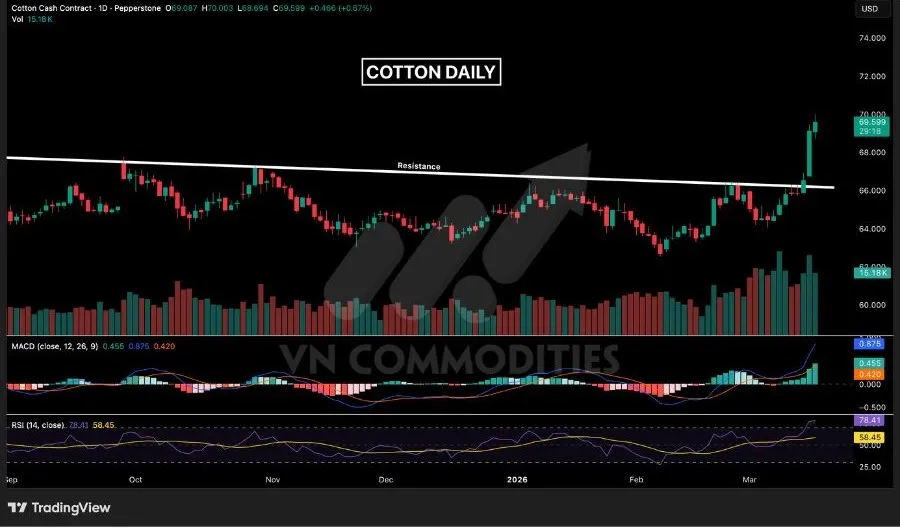 Gi&aacute; b&ocirc;ng trong xu hướng tăng mạnh