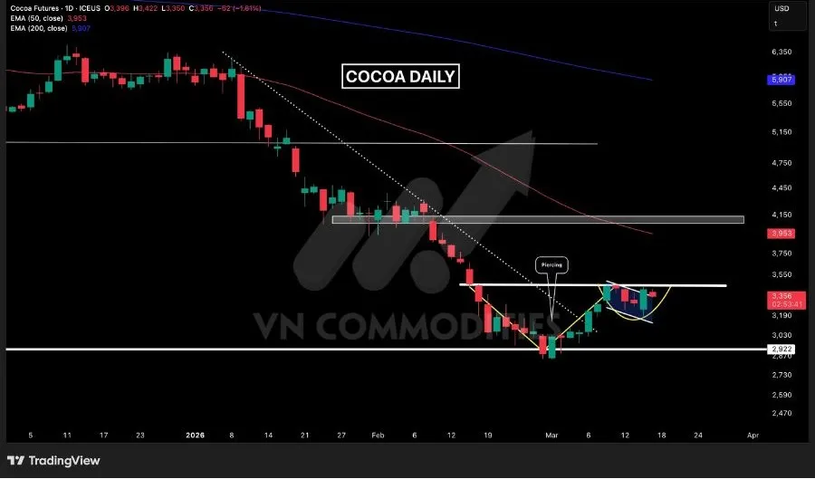 Biểu đồ gi&aacute; ca cao