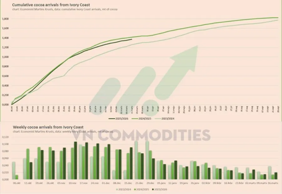 Nguồn cung ca cao được cải thiện 
