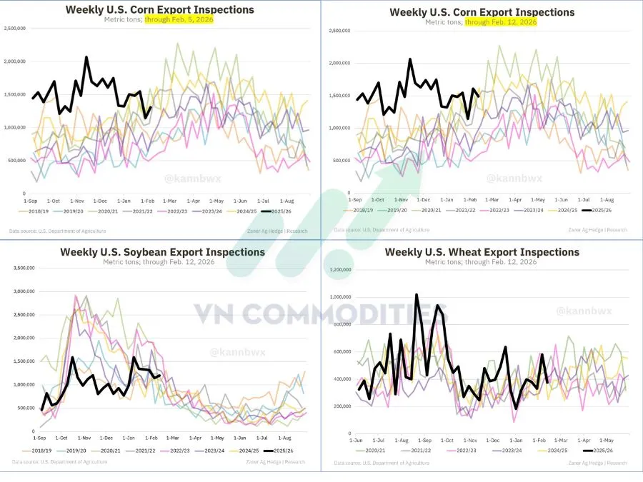 kiểm định xuất khẩu ng&ocirc;, đậu tương 
