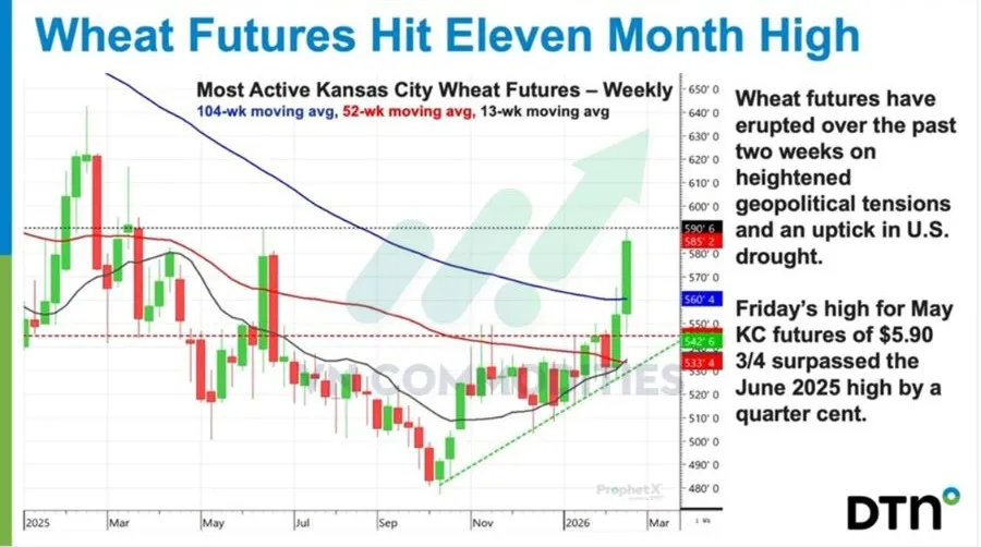 hợp đồng l&uacute;a m&igrave; Kansas 