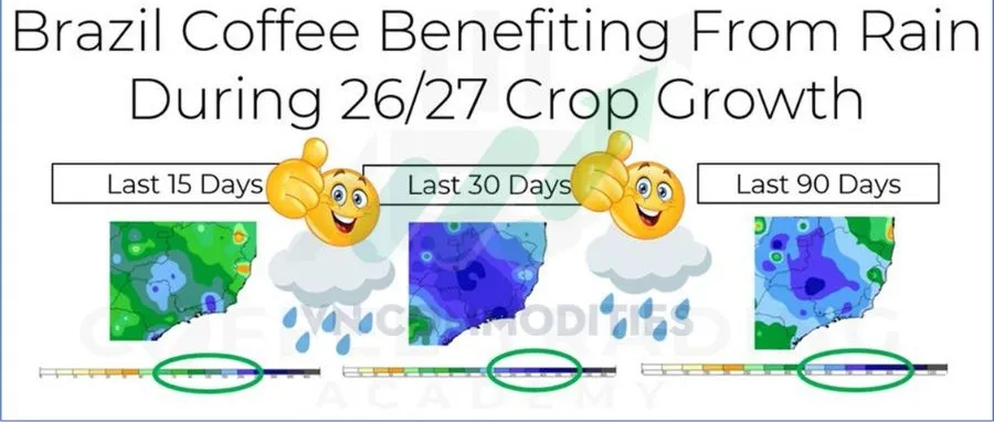 c&agrave; ph&ecirc; Brazil hưởng lợi từ mưa 