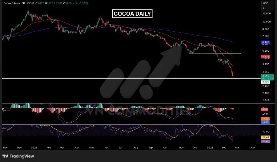 Gi&aacute; ca cao chững lại 