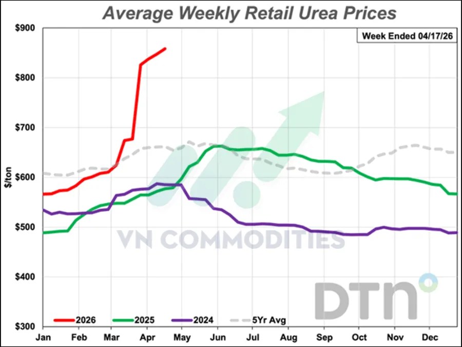 Gi&aacute; ph&acirc;n b&oacute;n b&aacute;n lẻ 