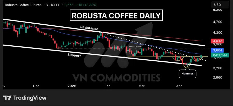 Biểu đồ gi&aacute; c&agrave; ph&ecirc; Robusta
