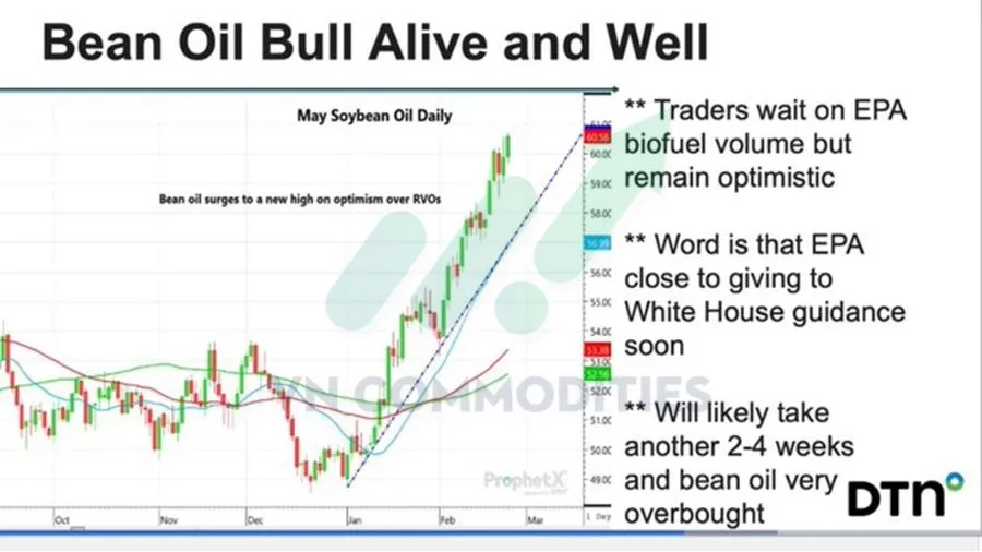 Gi&aacute; dầu đậu tương kỳ hạn th&aacute;ng 5