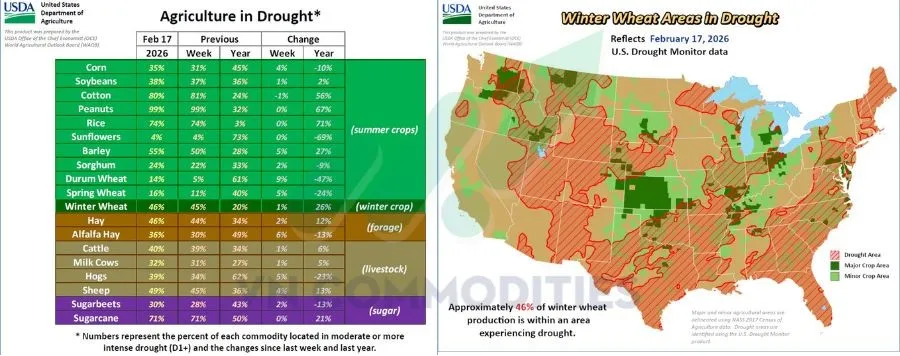 B&aacute;o c&aacute;o gi&aacute;m s&aacute;t hạn h&aacute;n USDA 