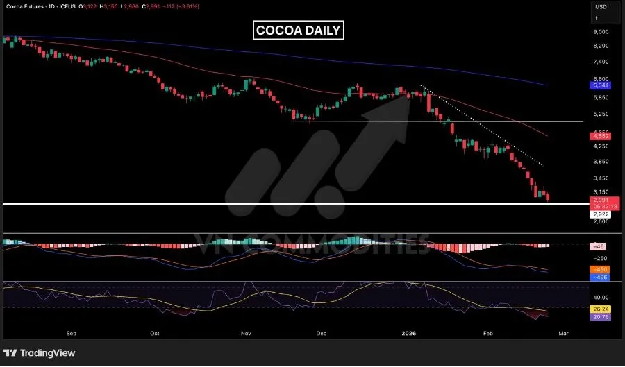 Gi&aacute; ca cao tiếp tục chịu &aacute;p lực giảm 