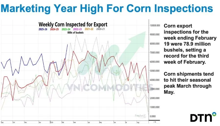 N&ocirc;ng sản: kiểm tra xuất khẩu h&agrave;ng tuần 