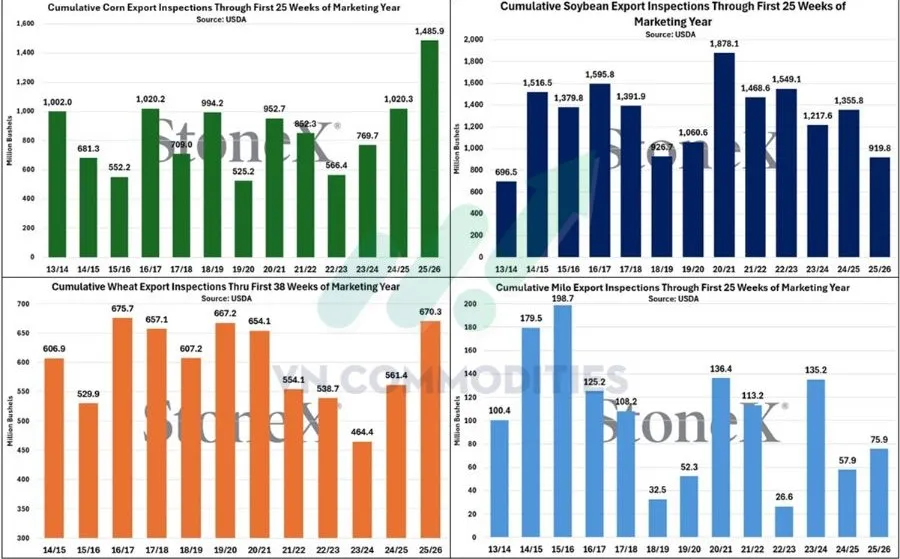 Lũy kế kiểm định xuất khẩu 