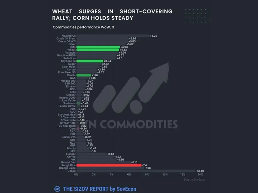L&uacute;a m&igrave; ghi nhận mức tăng mạnh 