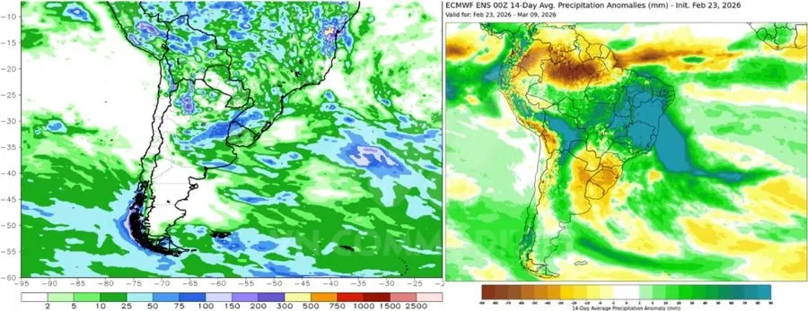Mưa tại Argentina cải thiện kh&ocirc; hạn 
