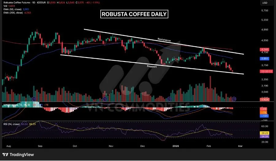 Gi&aacute; c&agrave; ph&ecirc; vận động trong m&ocirc; h&igrave;nh n&ecirc;m giảm 