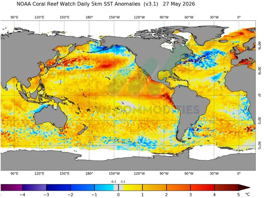 El Nino đang dần mạnh lên