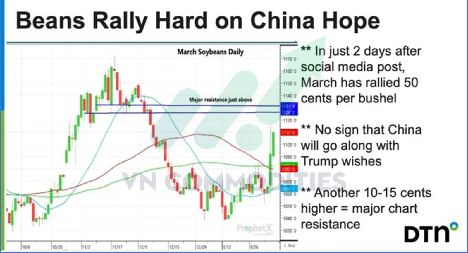 Đậu tương tăng mạnh trong thời gian ngắn 