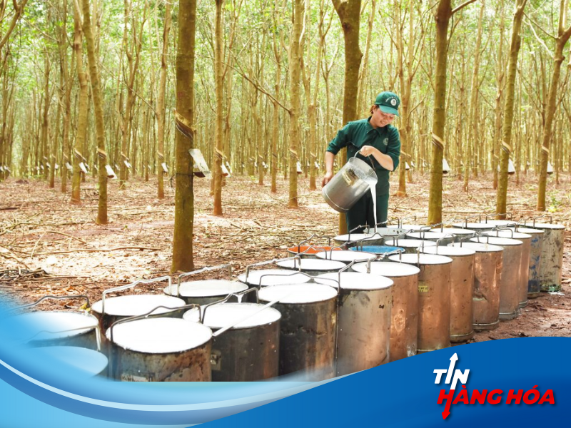 giao dịch cao su RSS3