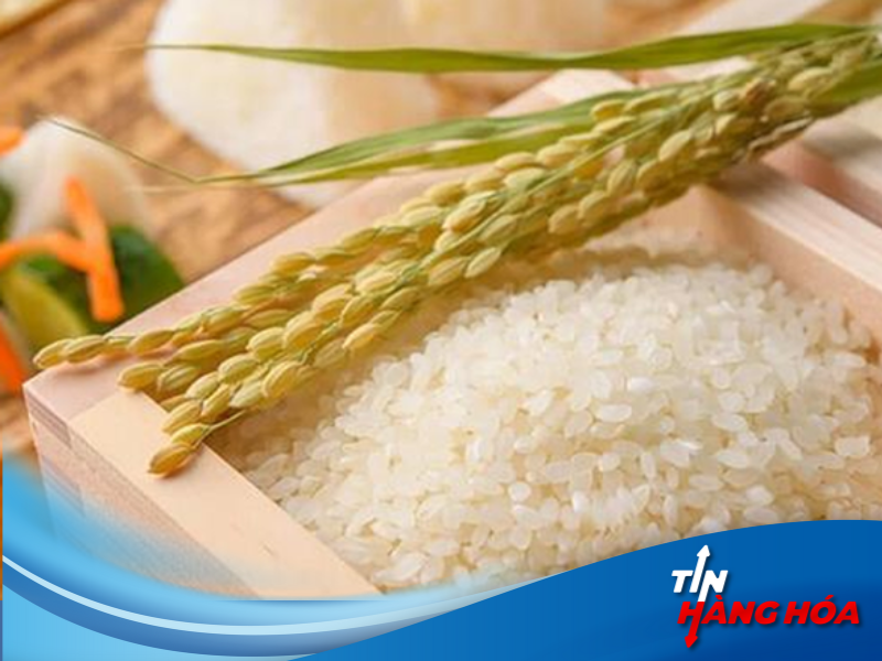 Giao dịch gạo th&ocirc;