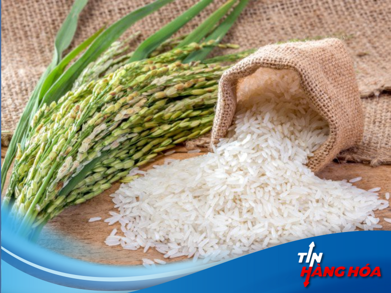 Giao dịch gạo th&ocirc;