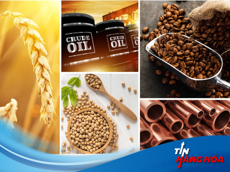 Sản phẩm ph&aacute;i sinh