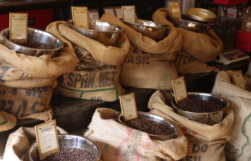 EU chuẩn bị &aacute;p quy định chống ph&aacute; rừng?