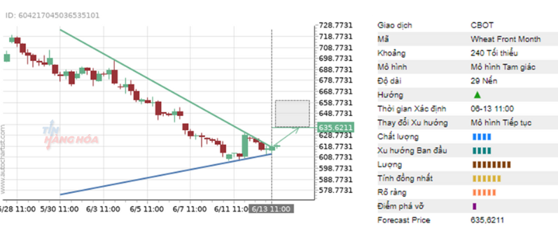 phan tich ki thuat 13/6