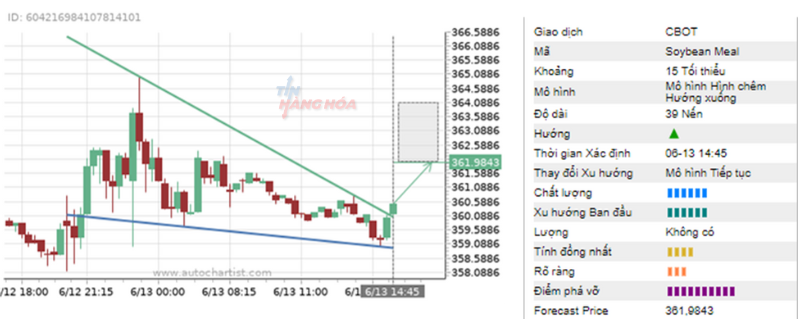 phan tich ki thuat 13/6