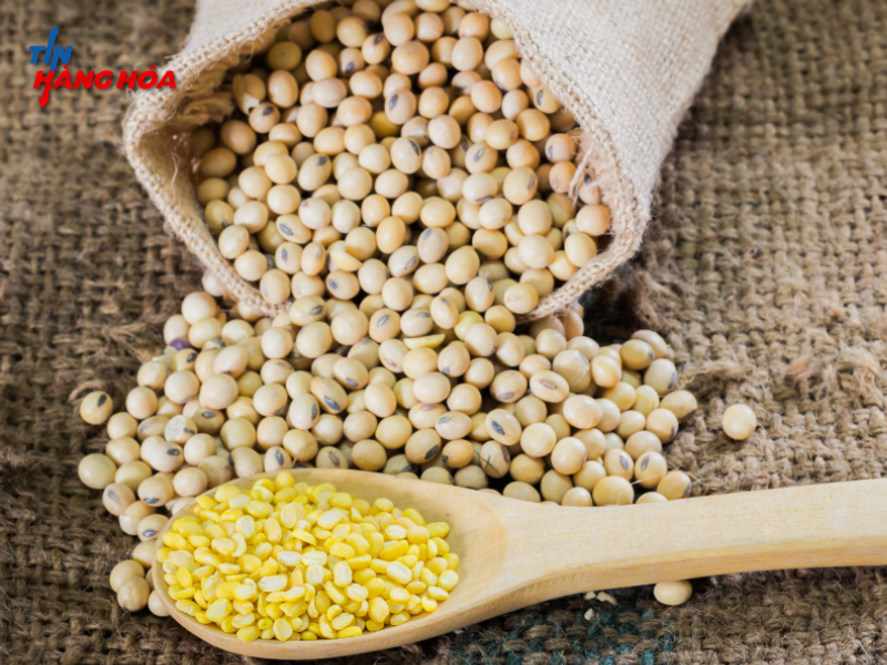 Thị trường n&ocirc;ng sản đầu tuần: L&uacute;a m&igrave; giảm nhờ điều kiện trồng trọt cải thiện, đậu tương v&agrave; ng&ocirc; biến động do cắt giảm sản lượng