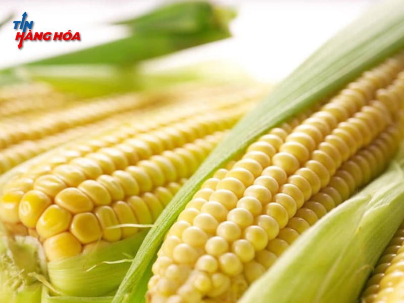 Thị trường n&ocirc;ng sản đầu tuần: L&uacute;a m&igrave; giảm nhờ điều kiện trồng trọt cải thiện, đậu tương v&agrave; ng&ocirc; biến động do cắt giảm sản lượng