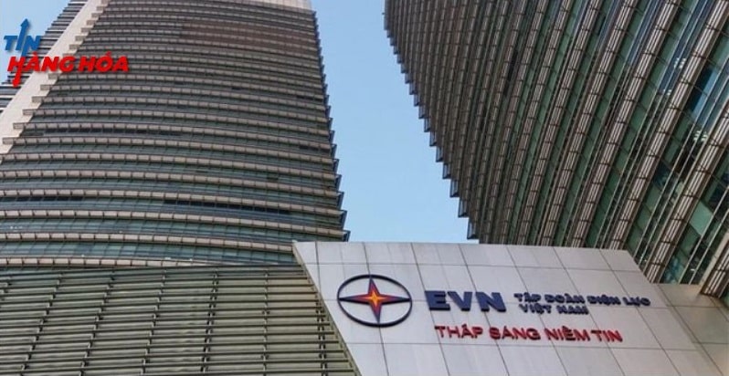 Tập đo&agrave;n điện lực Việt Nam