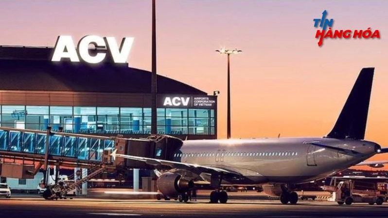 Tổng C&ocirc;ng Ty Cảng H&agrave;ng Kh&ocirc;ng Việt Nam