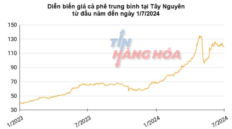 Gi&aacute; c&agrave; ph&ecirc; trong nước từ đầu năm đến 1/7/2024