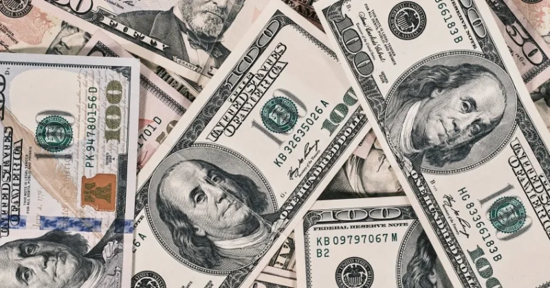 Biến động tỷ giá USD với đồng nội tệ của các quốc gia xuất khẩu dầu cọ có ảnh hưởng đáng kể đến giá dầu cọ.