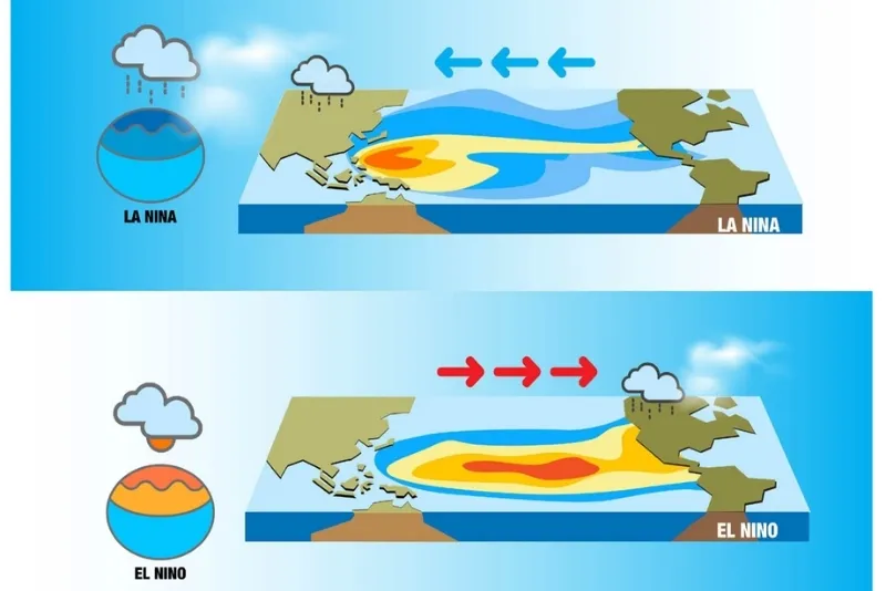 El Niño và La Niña là hai hiện tượng khí hậu toàn cầu thuộc chu kỳ ENSO và được xem là yếu tố ảnh hưởng đến giá cà phê thế giới rất quan trọng.