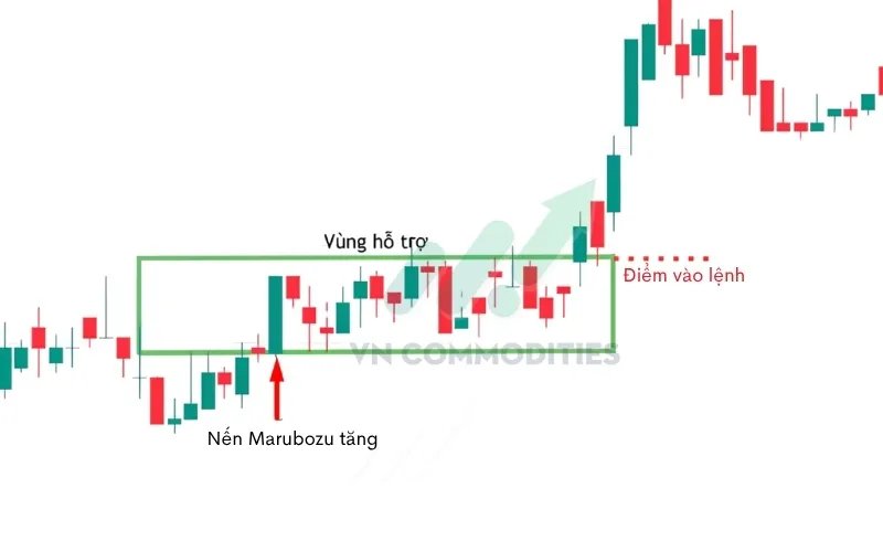 Đối với nến Marubozu tăng giá, vùng giá mở cửa cùng khu vực giữa thân nến thường đóng vai trò là vùng hỗ trợ mạnh, nơi lực mua có xu hướng xuất hiện nếu giá điều chỉnh.