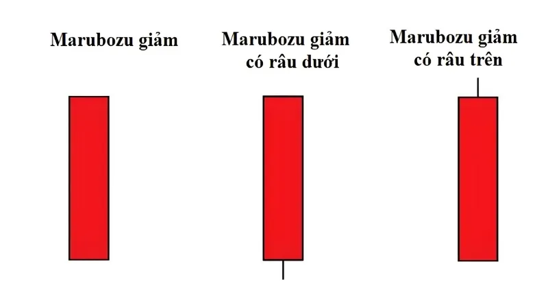 Bearish Marubozu – Nến Marubozu giảm giá