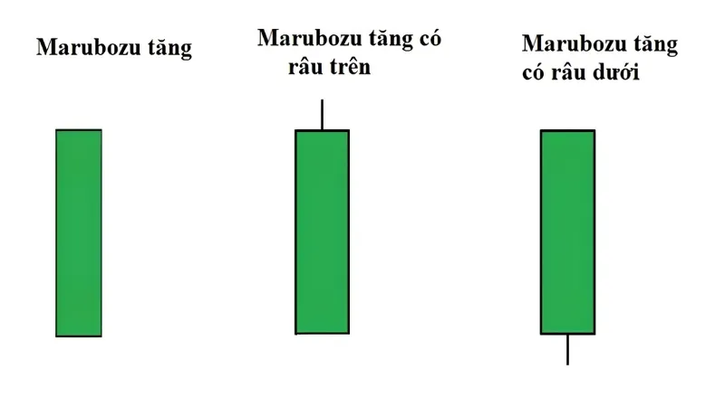 Bullish Marubozu – Nến Marubozu tăng giá