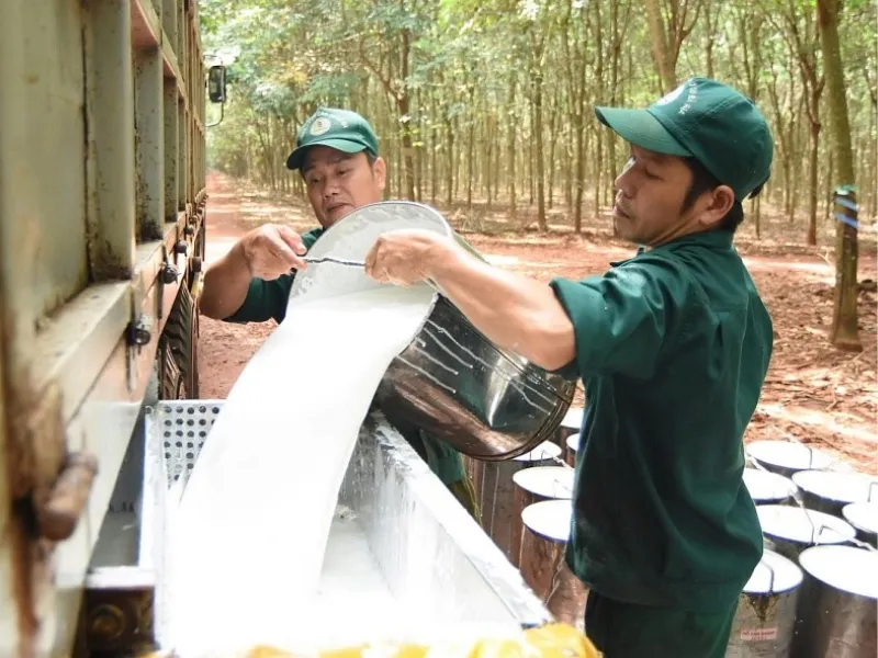 Nguồn cung cao su