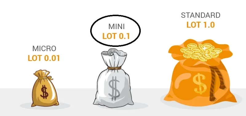 Ph&acirc;n loại Lot