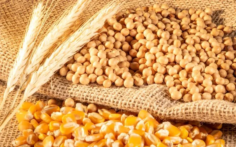 Thị trường h&agrave;ng h&oacute;a 1/2/2025 - N&ocirc;ng sản