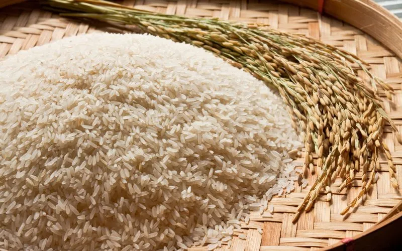 Thị trường h&agrave;ng h&oacute;a 21/02/2025 - Gạo