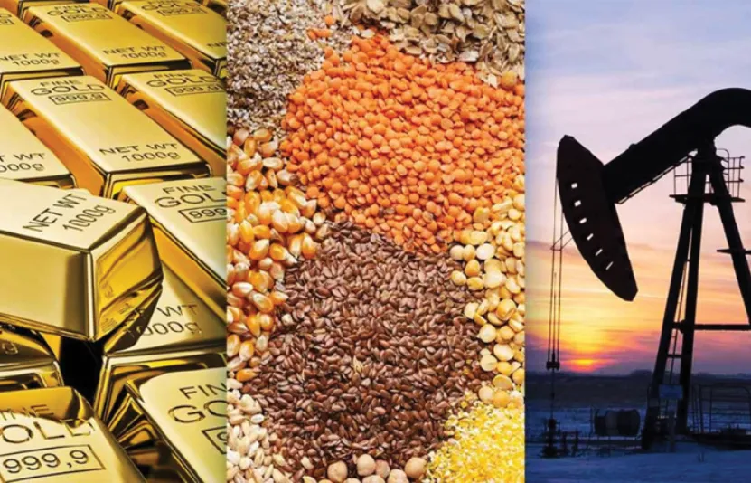 năng lượng v&agrave;ng 11/12