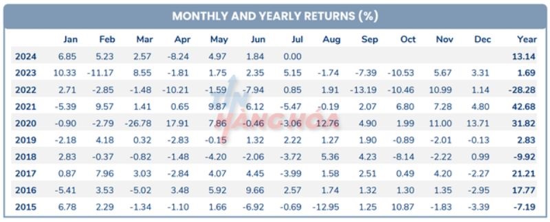 Hiệu suất đầu tư của Pyn Elite Fund