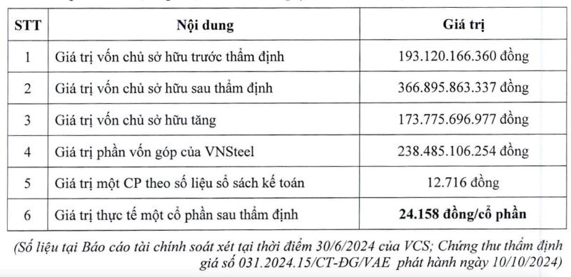 Báo cáo tài chính soát xét của VCS