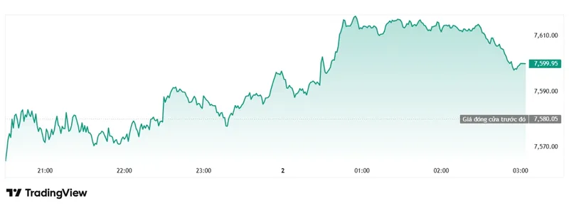 S&P 500